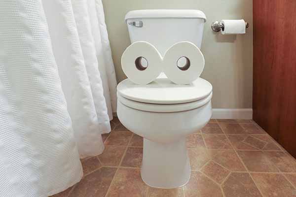 Toilet Concerns in Power Outage | Image of Toilet