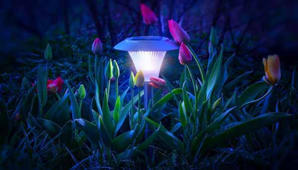 Solar-Powered Outdoor Lights Guide | Photo of Lawn Solar Light