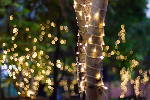 Solar-Powered Outdoor Lights | Night time Tree Decorative Lights