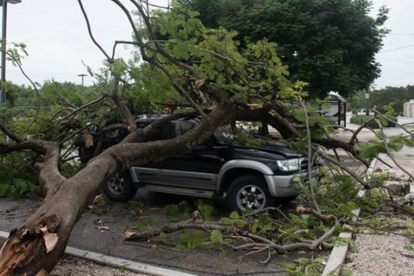 Tropical Storm Car Smashed Hurricane Season
